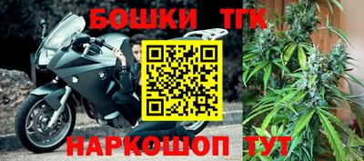 прущие грибы Будённовск