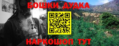 прущие грибы Будённовск