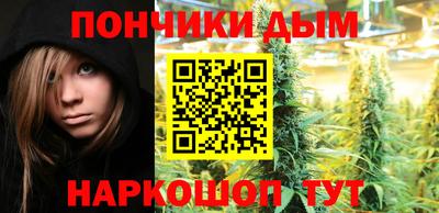 прущие грибы Будённовск