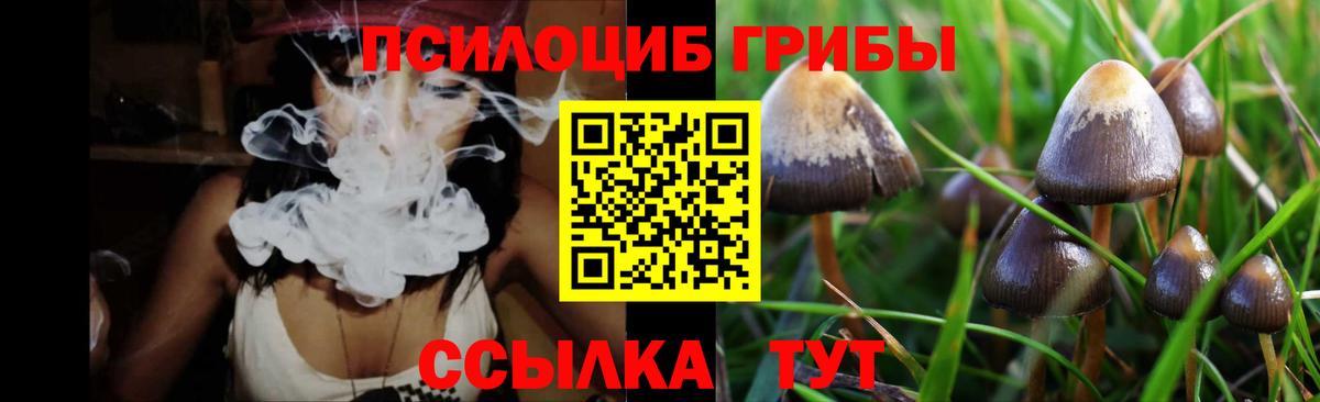 Псилоцибиновые грибы ЛСД Электрогорск